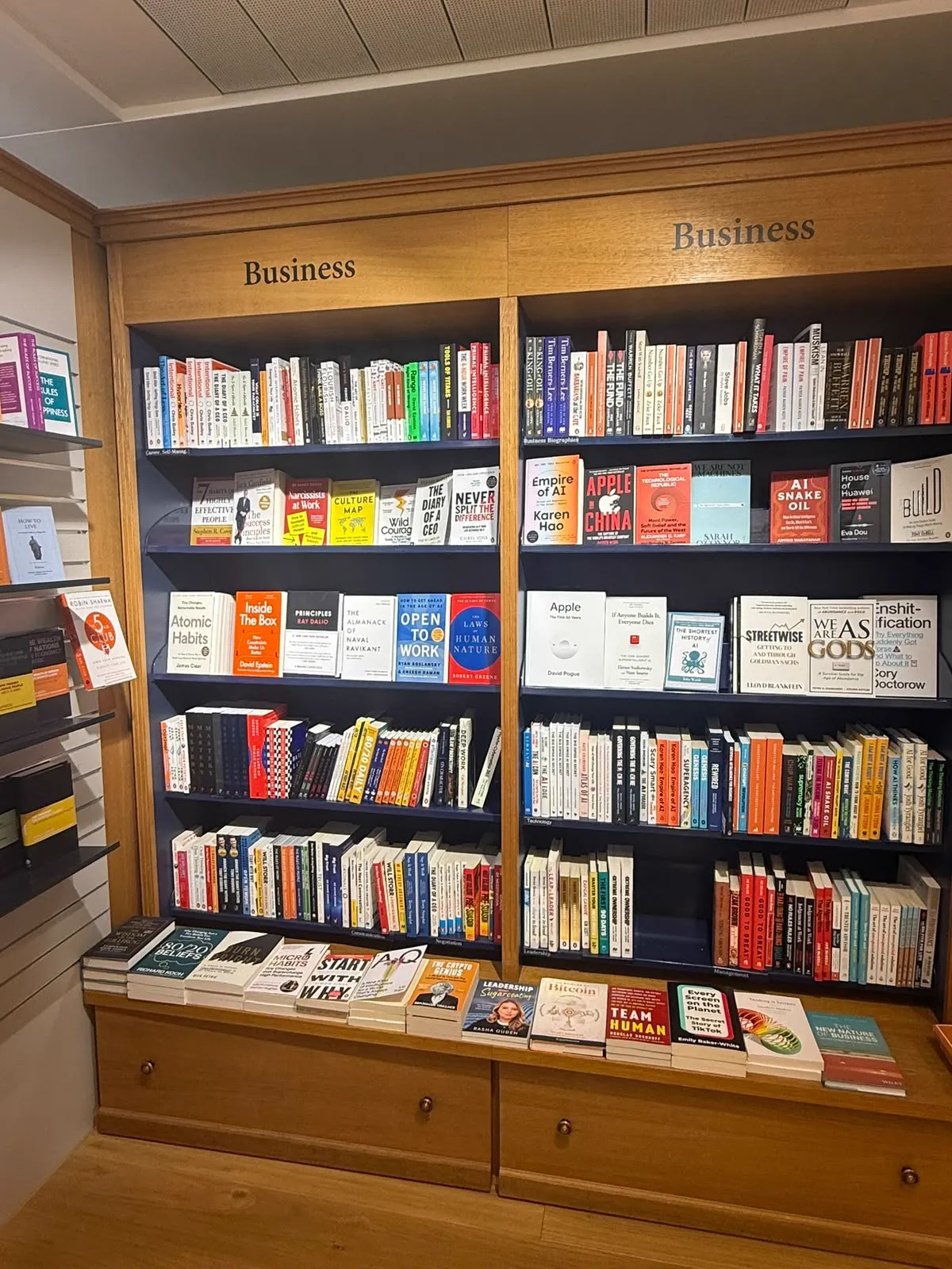 The book displayed in a bookshop business section